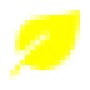 yellow_leave.png